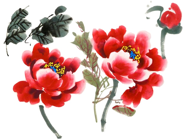 牡丹の花の伝統的な中国の水墨画の水彩イラスト | Premium写真