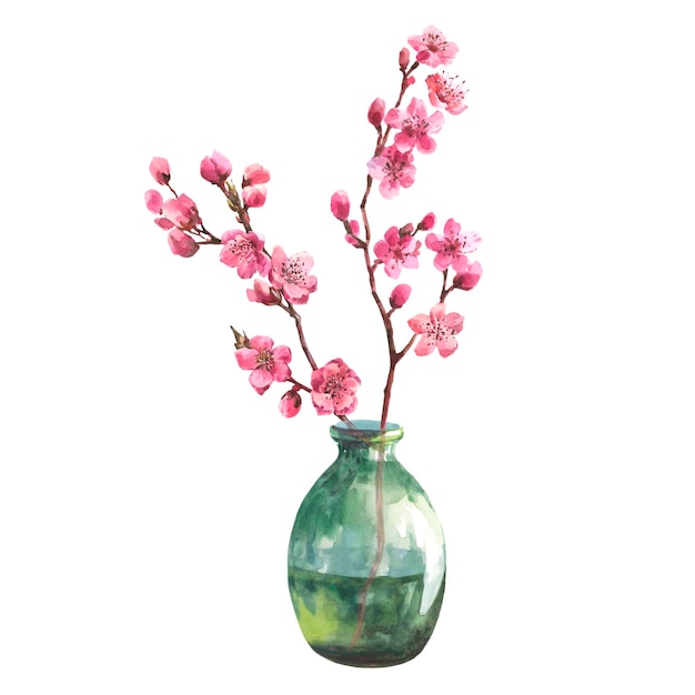 Watercolor illustration of a sakura branch in a transparent vase isolated on a white background