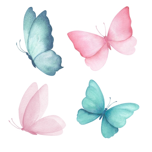 watercolor illustration set of delicate turquoise and pink butterflies isolated on white background handmade isolated