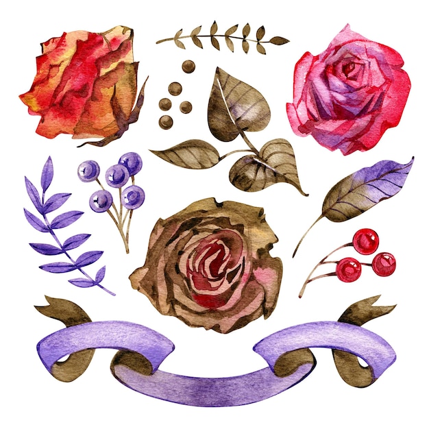 A watercolor illustration of a set of flowers and leaves.