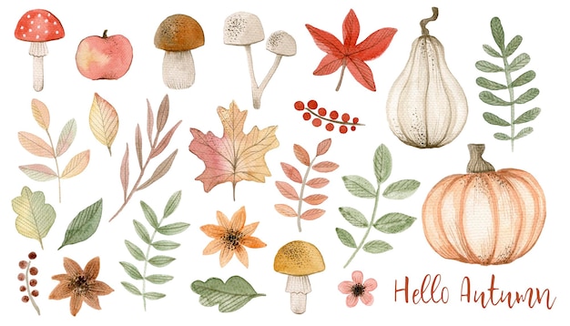 Watercolor illustration set hello autumn with plants pumpkins mushrooms Isolated on white