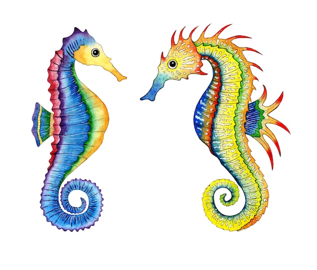 Watercolor illustration set of two rainbow and yellowred seahorses Stingray fish Ocean dwellers