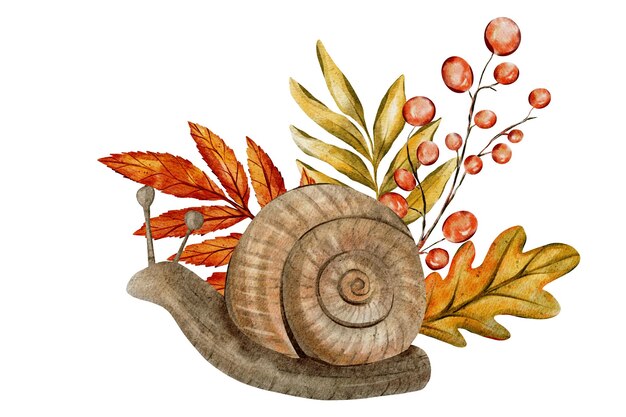 watercolor illustration of a snail with a spiral shell surrounded by autumn leaves and berries the earthy colors and detailed design give it a seasonal natureinspired artistic touch