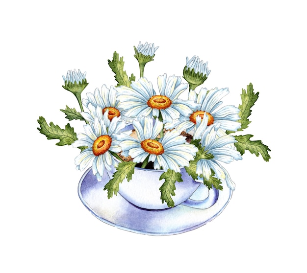 Foto illustrazione ad acquerello di una coppia di tè con un bouquet di fiori di camomilla bianchi e foglie verdi fiori e tazza di tè di camomila a base di erbe disegno botanico isolato su sfondo bianco