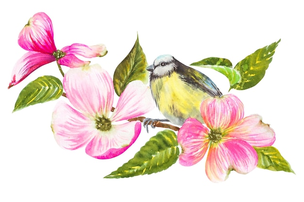 美しいピンクの花がくドッグウッドの枝に座っているティットマウス 水彩画の春の絵