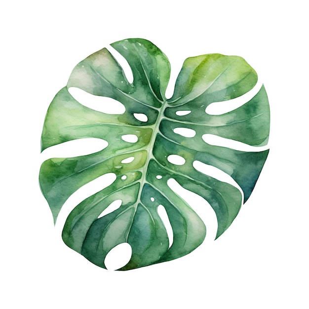 Watercolor illustration of a tropical leaf Ai illustration