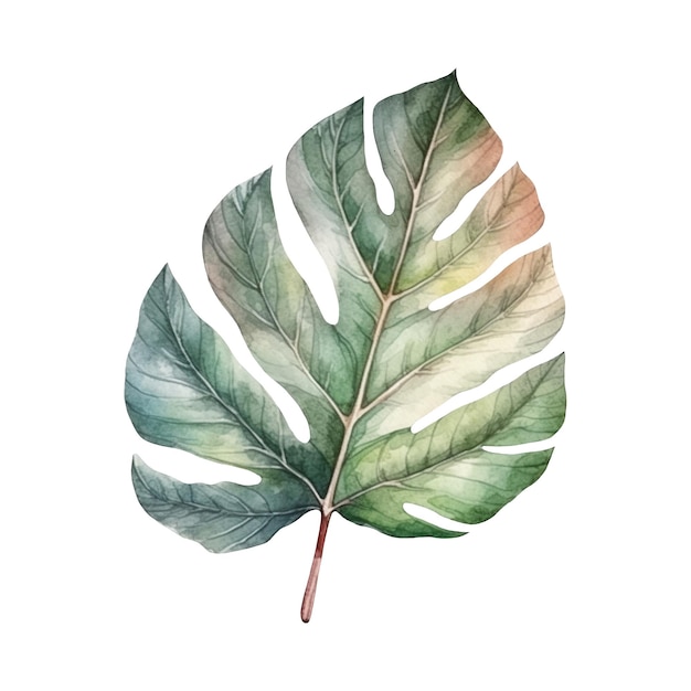 Watercolor illustration of a tropical leaf Ai illustration