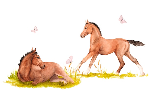 Watercolor illustration of a two horse foals galloping and lying in the green grass with pink butterflies