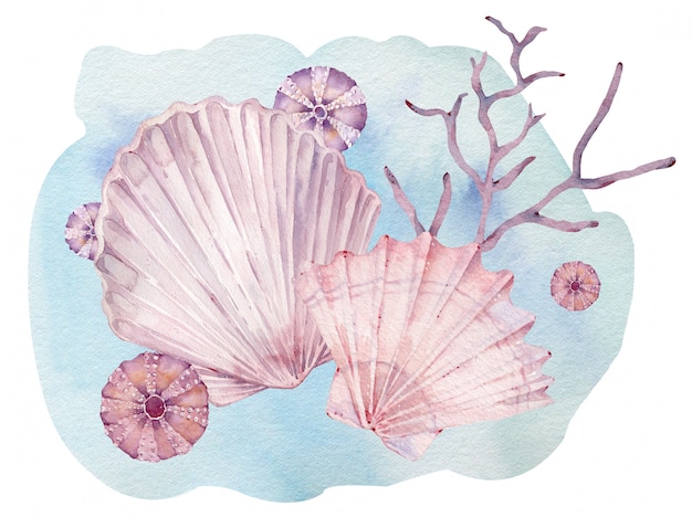 Watercolor illustration of underwater seashells and seaweed.