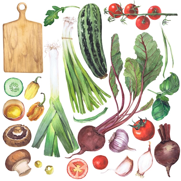 Watercolor illustration of vegetables Handdrawn set from isolated clip art on a white background