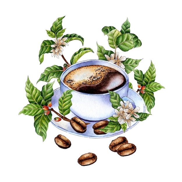 Watercolor illustration of a white coffee cup saucer twigs coffee beans and flowers Hand drawn watercolor illustrations of drinks for greeting cards logos print Design for making cappuccino