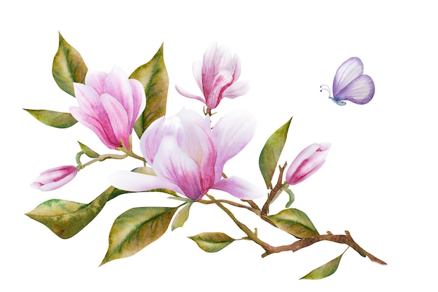 꽃이 피는 분홍색 마그놀리아 꽃과 가지를 가진 수채화 일러스트레이션 초대 결혼식 또는 축하 카드에 대한 봄 또는 여름 꽃