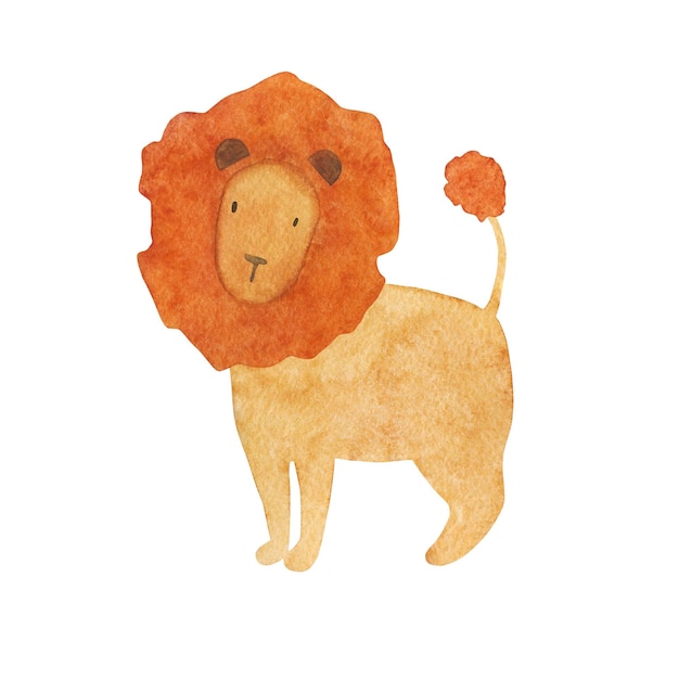 Photo watercolor illustration with cute lion isolated on white background