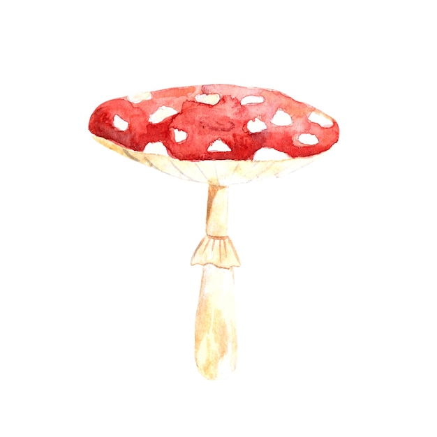 비행 agaric 버섯 버섯 가을 할로윈 수채화 그림