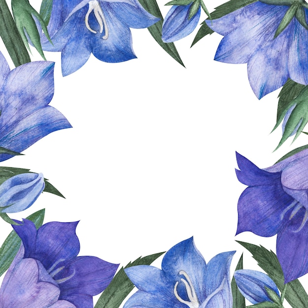 Watercolor illustration with lilac and blue bluebell buds flowers and leaves Square frame isolated with Campanula and space for text for packaging postcards wedding design