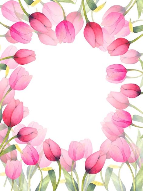 Photo watercolor illustration with magenta tulips separated elements frames wreath and borders watercolor spring floral ornament