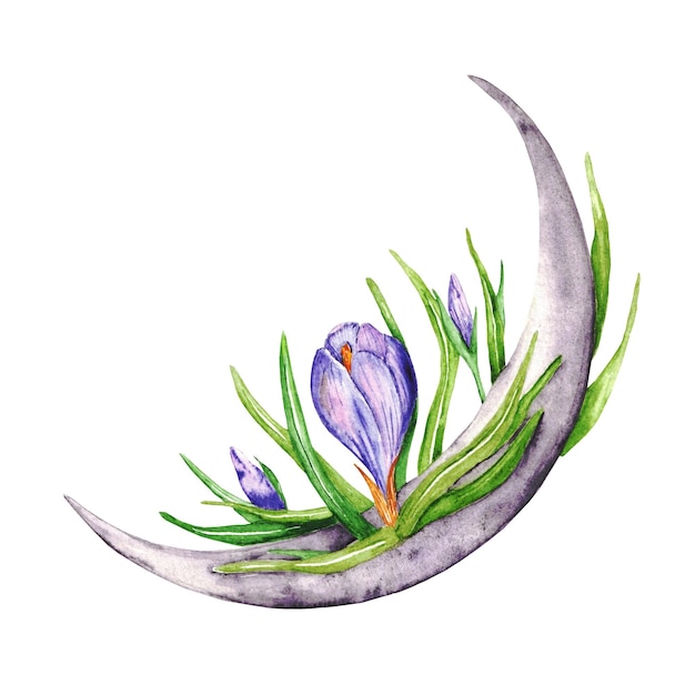 Watercolor illustration with moon and purple crocuses