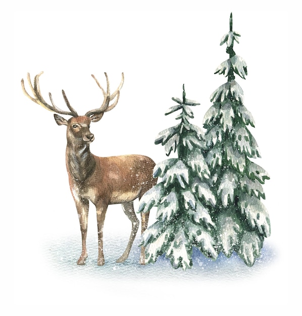 Watercolor illustration with a wild forest deer surrounded by fir trees in the snow.