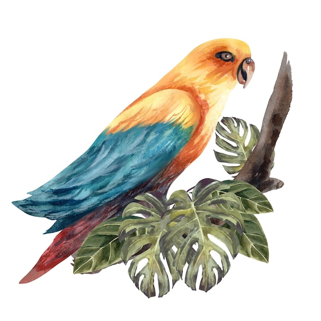 Photo watercolor illustration with a yellow parrot among tropical leaves on a white background isolate