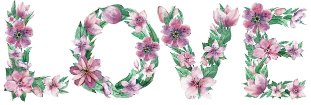 Watercolor illustration of word Love made of pink christmas rose flowers.