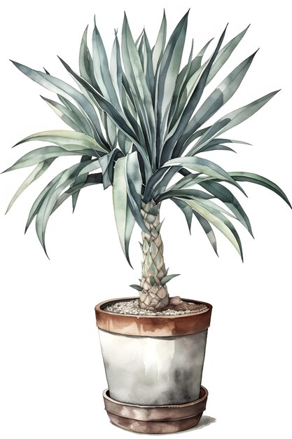 Watercolor Illustration of Yucca Plant for Minimalist Home Decor Generative AI