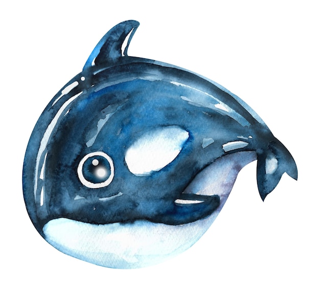 Watercolor inhabitants of the ocean Killer whale on a white background