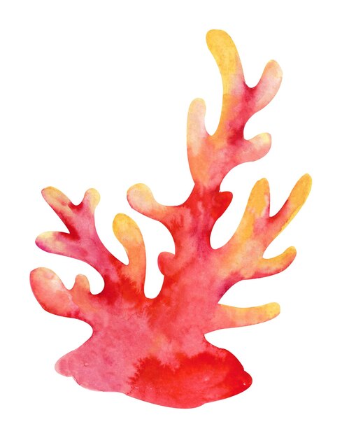 Watercolor inhabitants of the ocean. Red coral on a white background