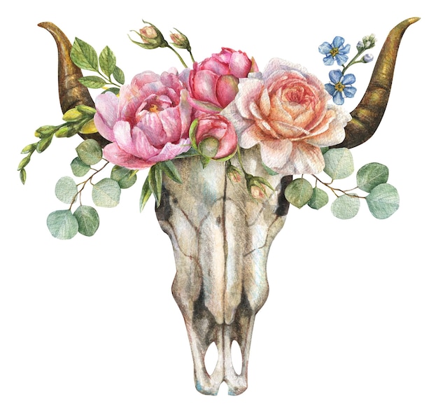 Watercolor isolated illustration of a bull skull with peony flowers roses eucalyptus leaves