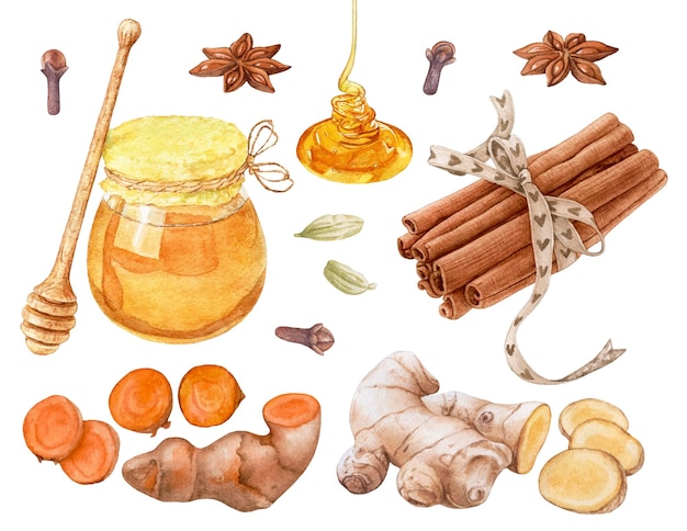 写真 蜂蜜、シナモン、ショウガ、ウコンの根、白い背景で隔離のスパイスの水彩の瓶。