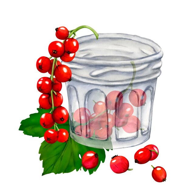 Watercolor jar with jelly isolated on white background Hand drawn illustration Clip art berry branches Viva Magenta color