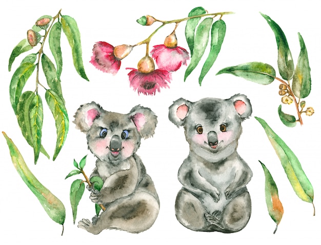 Watercolor Koala set