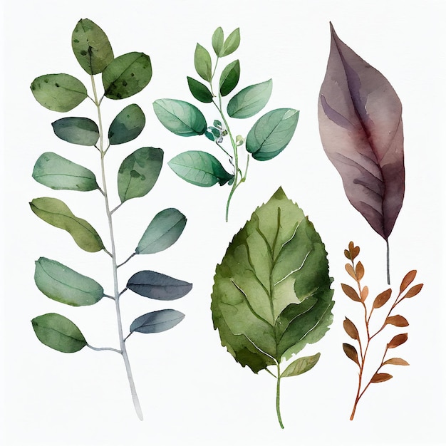 Watercolor leaf set Generative AI