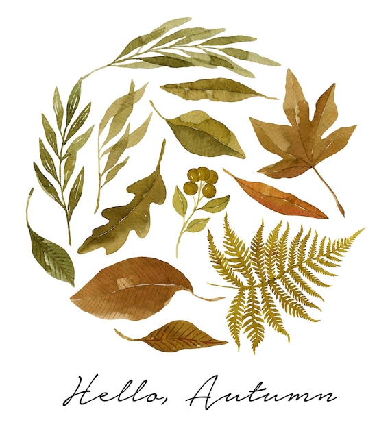 수채화 잎 원형 모양 배열 인사말 카드 템플릿 식물 그림