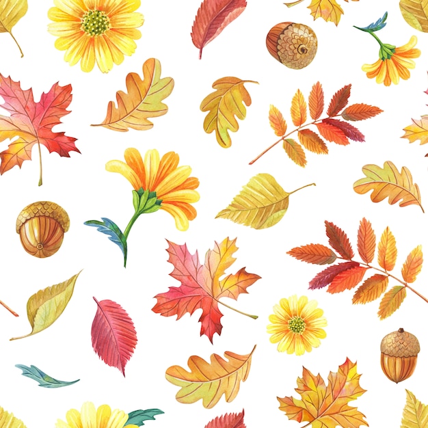 Watercolor leaves maple Rowan on white background. Seamless pattern. Bright seamless pattern for autumn design.