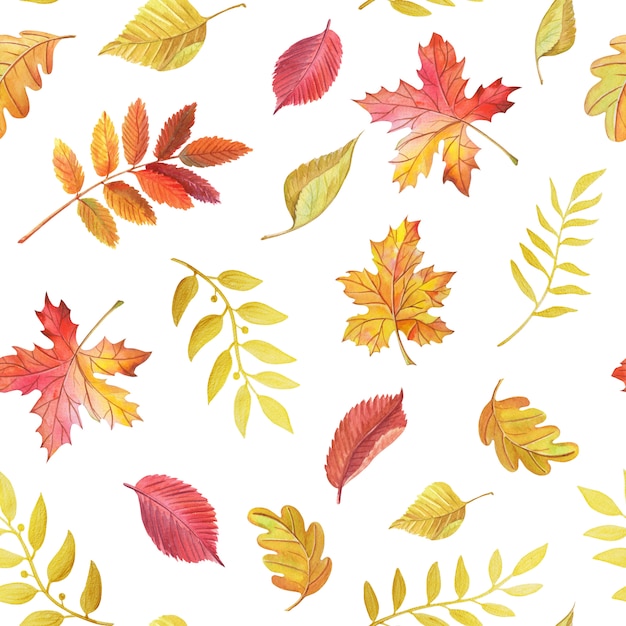 Watercolor leaves maple Rowan on white background. Seamless pattern.