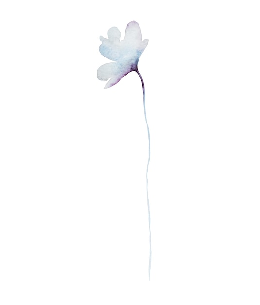 Foto acquerello fiore blu chiaro illustrazione isolata elemento floreale di matrimonio e saluto