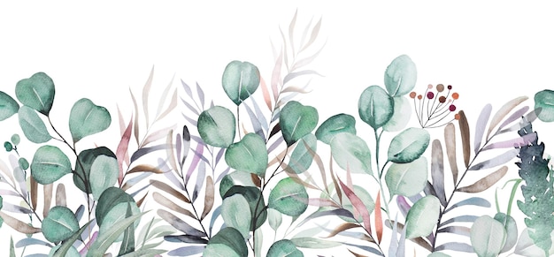 watercolor light green eucaliptus branches and leaves seamless border illustration isolated