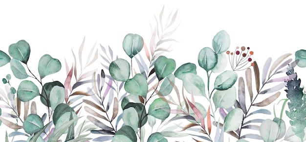 Watercolor light green eucaliptus branches and leaves seamless border illustration isolated