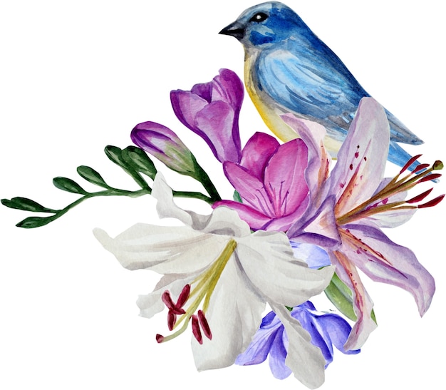 watercolor lilies and freesias, blue bird, hand illustration