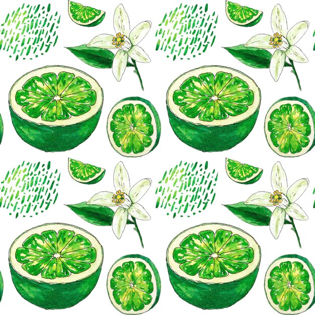 Watercolor lime seamless pattern. Slice lemon, flower white background. Hand painted botanical style