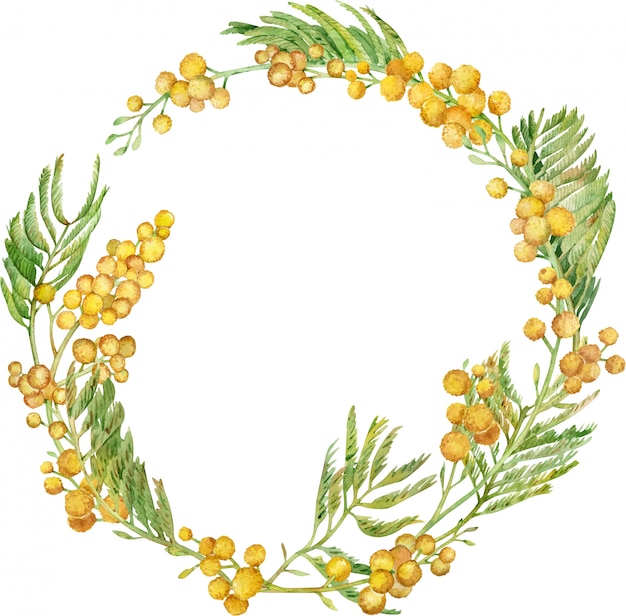 Corona di mimosa dell'acquerello cornice floreale primavera gialla. illustrazione disegnata a mano