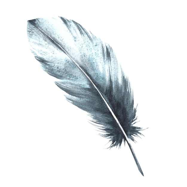 watercolor monochrome bird feather gray black color with granulation of shades and natural ornaments