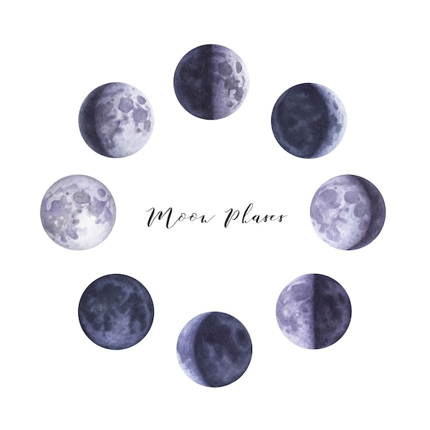 Watercolor moon phases on white