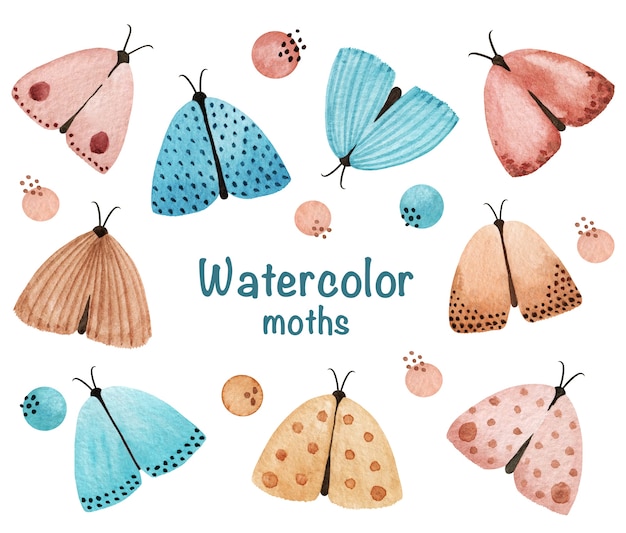 Watercolor Moths Clipart. Gentle Night Moths set, stock illustration. Watercolor vintage butterflies