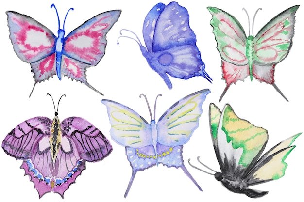 Watercolor multicolor butterflies set isolated on white