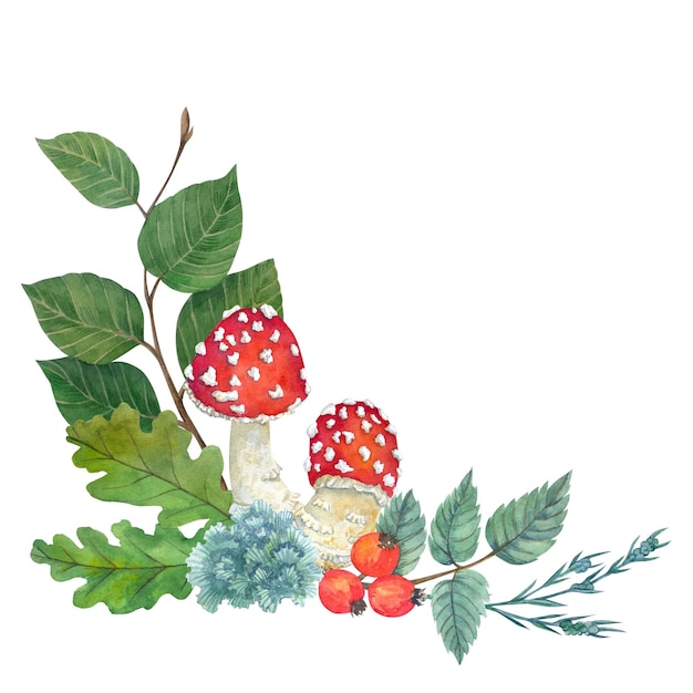 수채화 버섯 흰색 배경에 달팽이 잎 엽서 포스터에 대 한 식물 그림