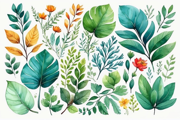 watercolor nature art decoration illustration