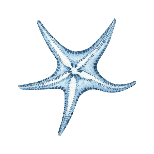 Watercolor nautical illustration blue transparent starfish