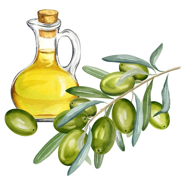 Watercolor olive oil in glass bottle with branch of green olives with leaves and fruits hand drawn i