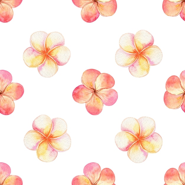 Photo watercolor orange frangipani seamless pattern on white background